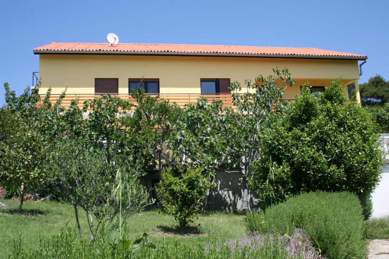 Apartments Suha Punta - Villa Babalonija Kampor Bilik gambar